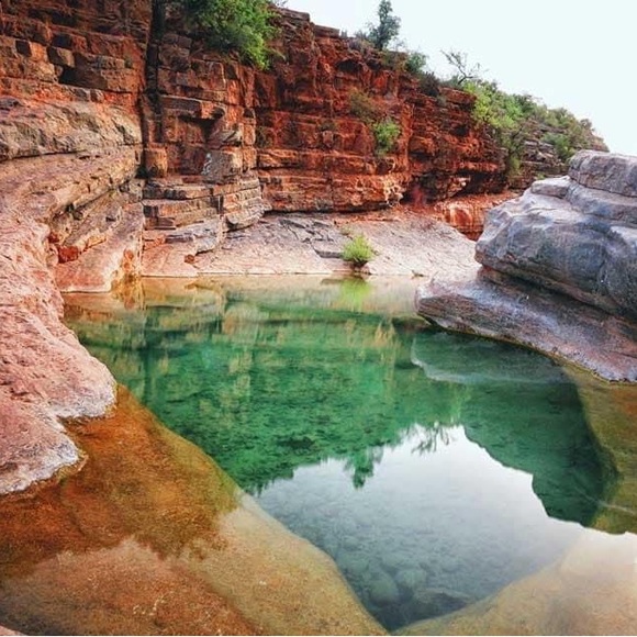 Meet your Posher, Shaheen - Picture 4 of 16